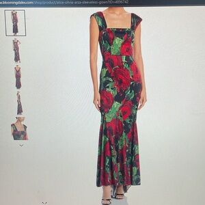 Alice and Olivia dress